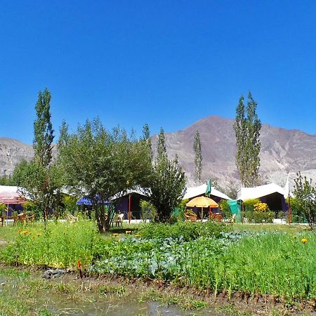 Tiger Camp Nubra Hotel Bagian luar foto