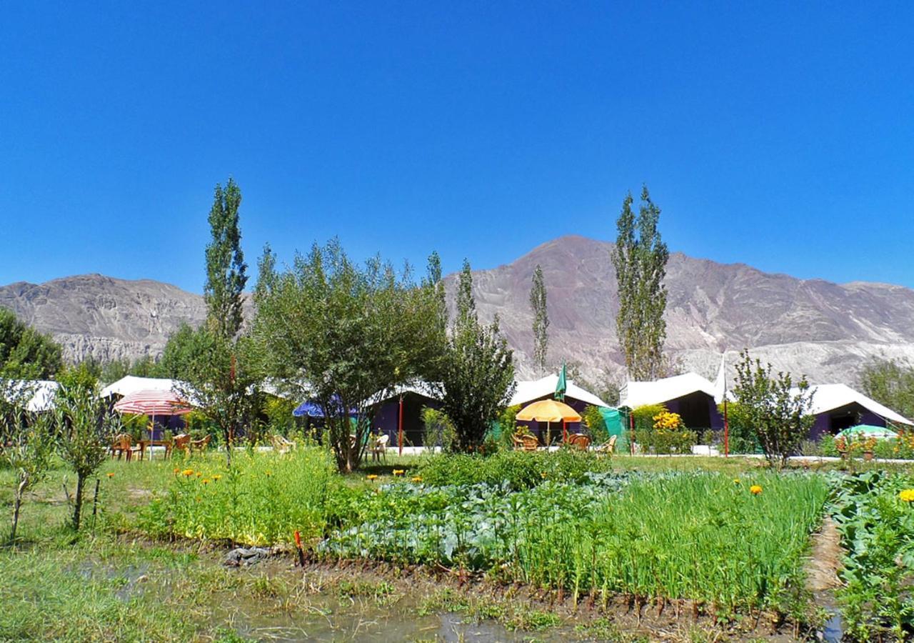 Tiger Camp Nubra Hotel Bagian luar foto