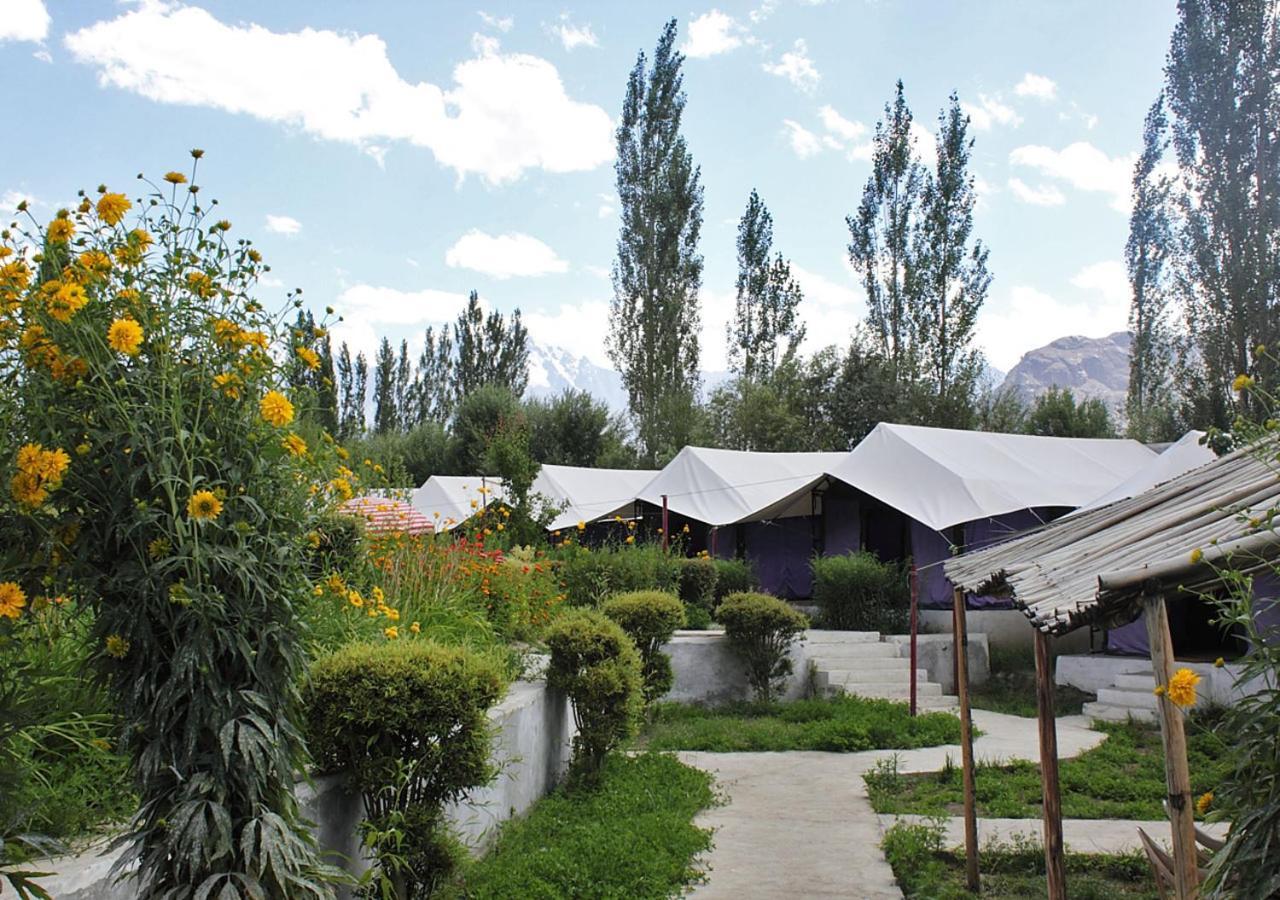 Tiger Camp Nubra Hotel Bagian luar foto