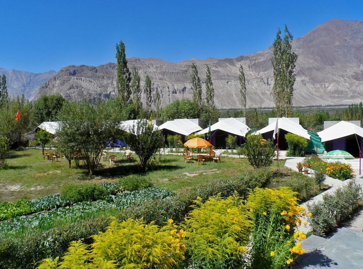 Tiger Camp Nubra Hotel Bagian luar foto